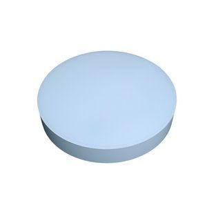Светильник светодиодный Biom NL-1-R24-W-5 24w круглый 5000К белый
