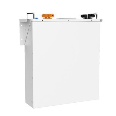 Аккумуляторная батарея Biom Professional 48В (51.2В) BALFP-R512100-UNI 5кВтч