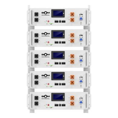 Аккумуляторная батарея Biom Professional 48В (51.2В) BALFP-R512100-UNI 5кВтч