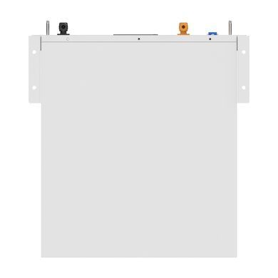 Аккумуляторная батарея Biom Professional 48В (51.2В) BALFP-R512100-UNI 5кВтч