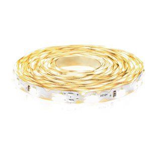 Светодиодная лента BIOM Professional BPS-G3-12-S-2835-60-CW-20 белый (S-type), негерметичная, 1м