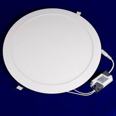 Світильник світлодіодний Biom PL-R24 W 24Вт круглий білий