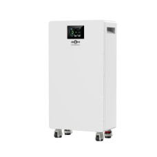 Аккумуляторная батарея Biom Professional 48В (51.2В) BA-PACE-512314-LFP 16кВтч
