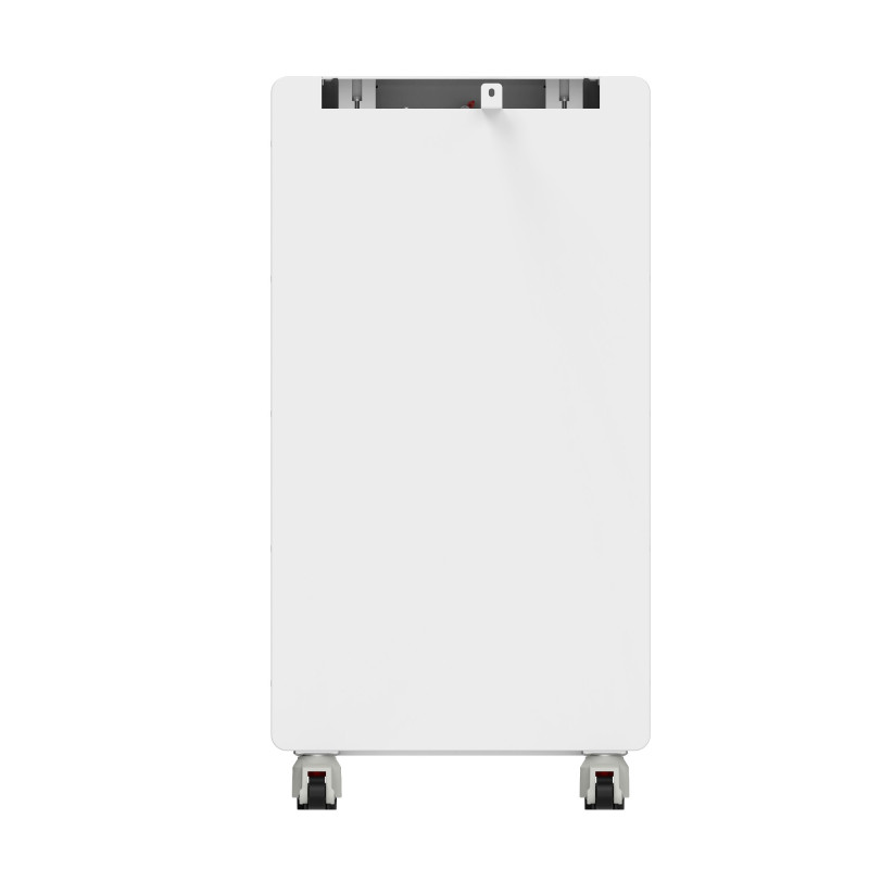 Аккумуляторная батарея Biom Professional 48В (51.2В) BA-PACE-512314-LFP 16кВтч
