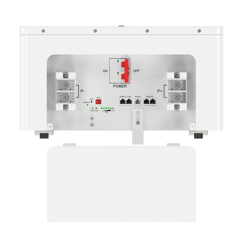 Аккумуляторная батарея Biom Professional 48В (51.2В) BA-PACE-512314-LFP 16кВтч