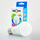 Светодиодная лампа Biom BT-532 A60 12W E27 4500К switch dimmable матовая