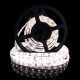 Светодиодная лента OEM ST-12-5050-60-CW-65-V2 белая, герметичная, 1м
