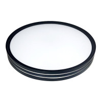 Светильник светодиодный Biom SMART SML-R41-50/2 3000-6000K 50Вт с д/у