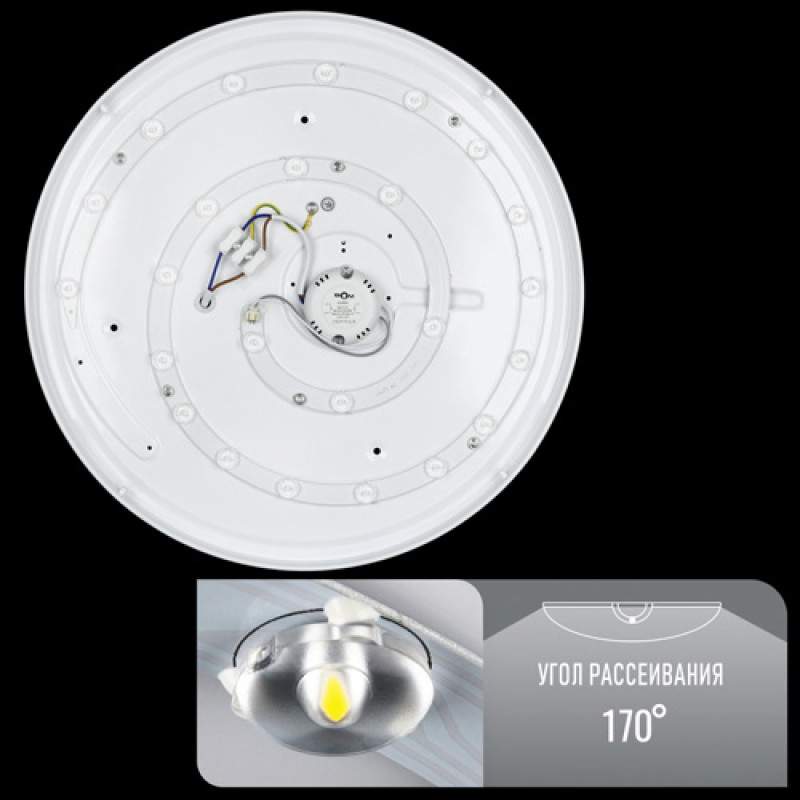 Светильник светодиодный Biom DL-R102-24-5 5000K 24Вт без д/у