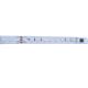Светодиодная лента BIOM Professional BPS-G3-24-RW-2835-120-NW 5000K, негерметичная, 1м