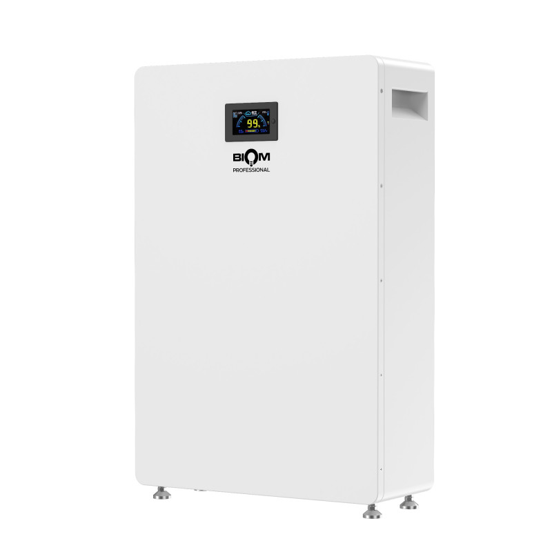 Аккумуляторная батарея Biom Professional 48В (51.2В) BALFP-512200-V1 10кВтч