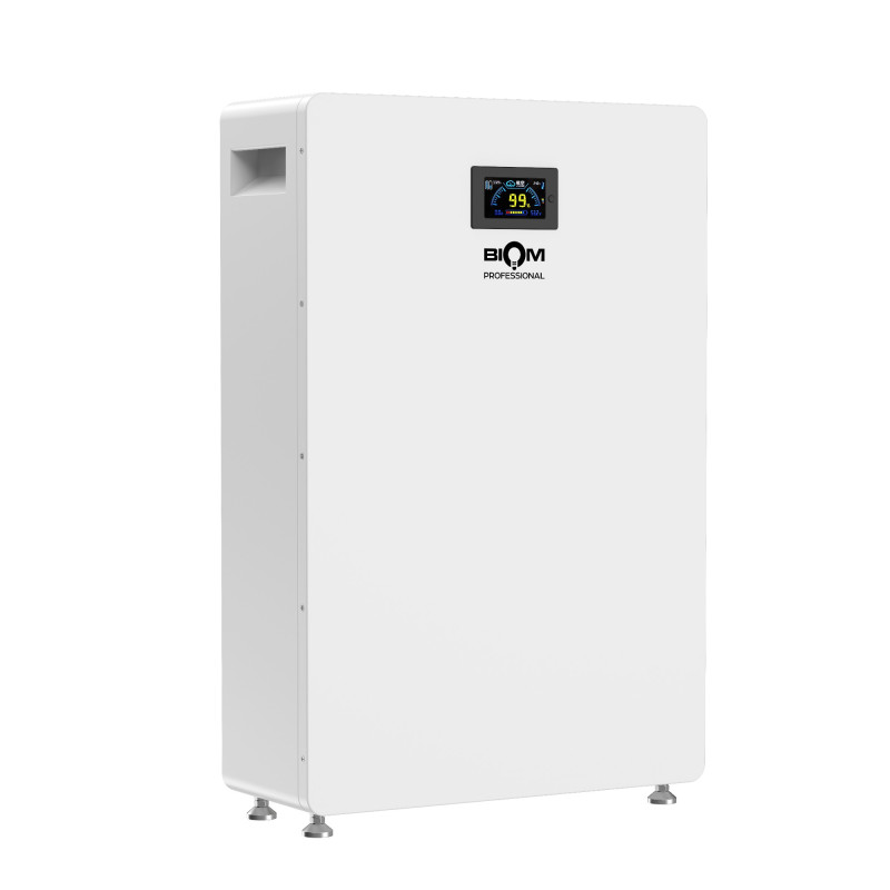 Аккумуляторная батарея Biom Professional 48В (51.2В) BALFP-512200-V1 10кВтч