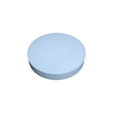 Светильник светодиодный Biom NL-1-R12-W-5 12w круглый 5000К белый