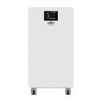 Акумуляторна батарея Biom Professional 48В (51.2В) BALFP-512314-V2 16кВтч